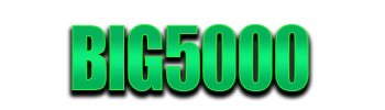 Logo BIG5000